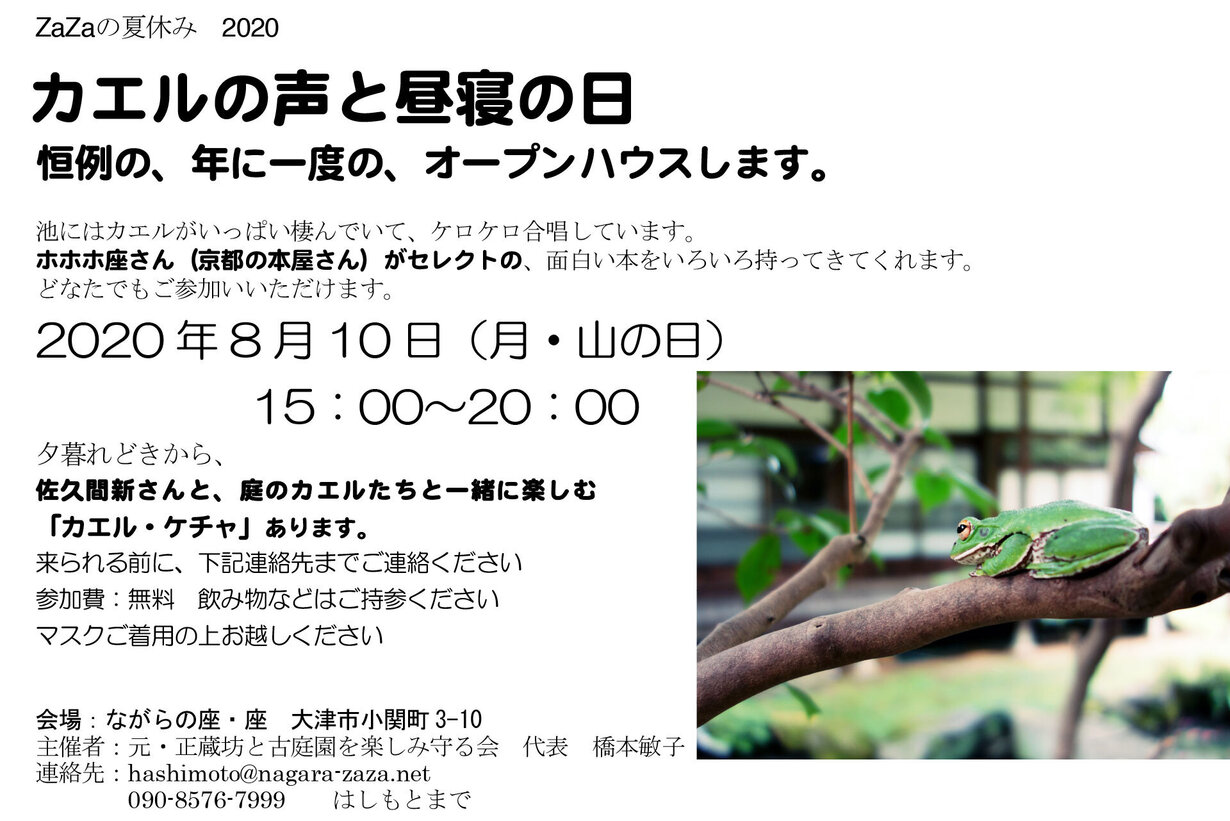 カエルの声と昼寝の日